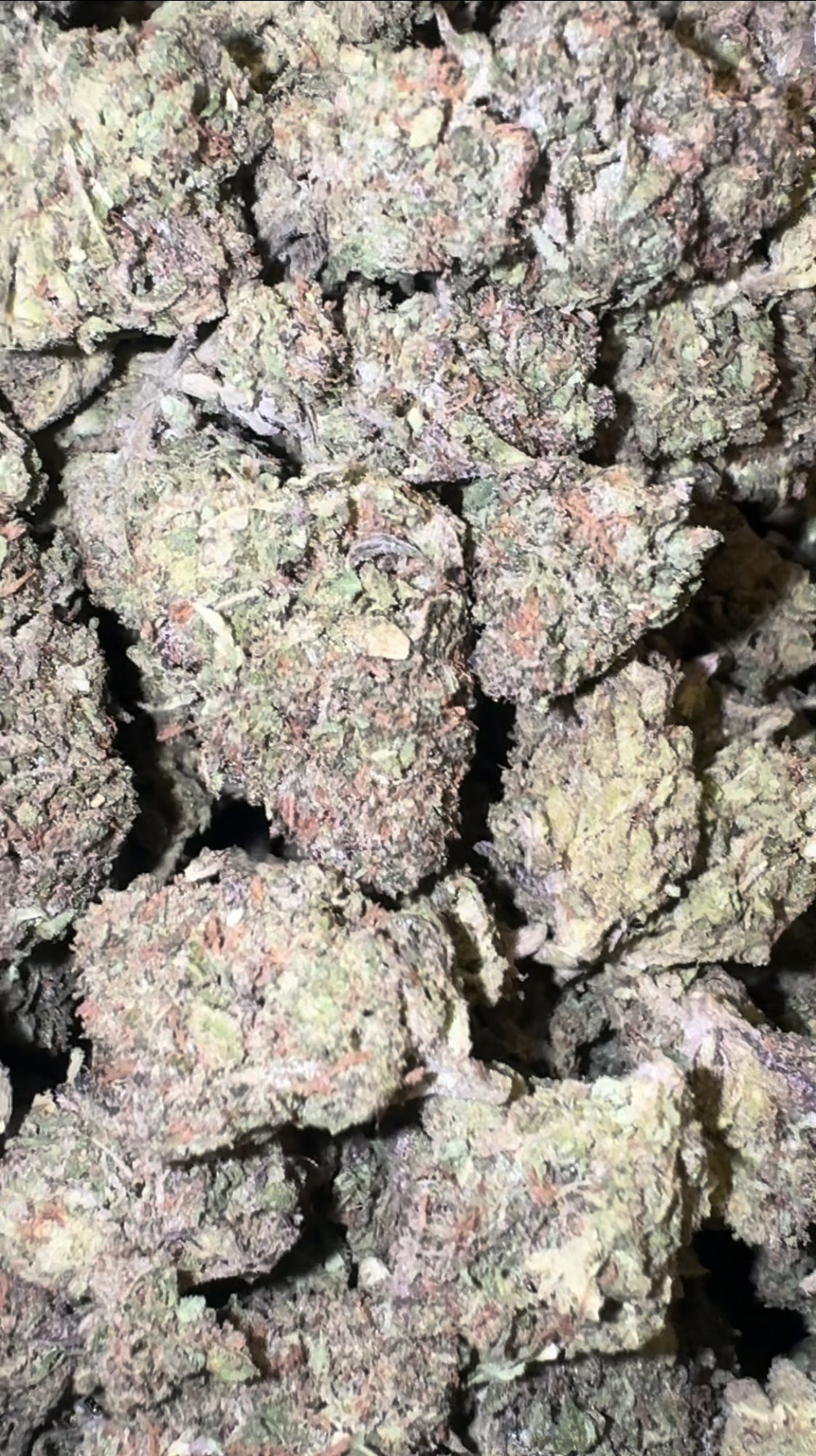 Kandy Runtz